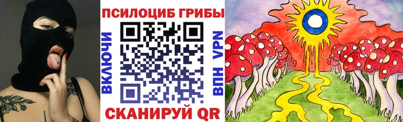 Галлюциногенные грибы мухоморы  блэк спрут как зайти  Черняховск  наркошоп 